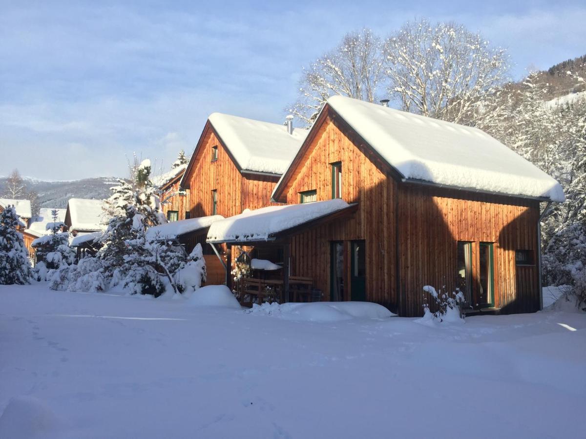 Alpenferienhaus Kreischberg Sankt Lorenzen ob Murau Exterior foto
